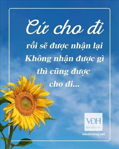 Cần một bờ vai