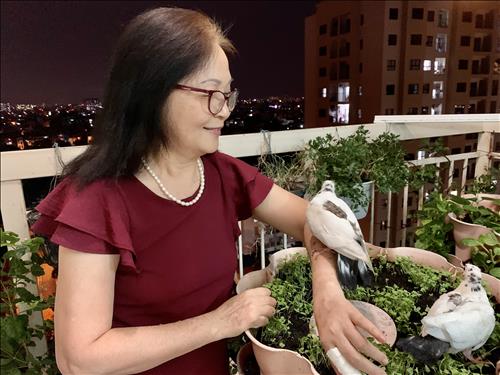 hẹn hò - Minh Tuyết-Lady -Age:63 - Divorce-TP Hồ Chí Minh-Lover - Best dating website, dating with vietnamese person, finding girlfriend, boyfriend.