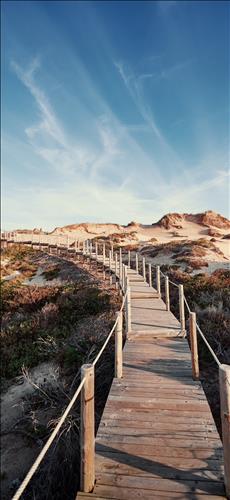 hẹn hò - Thanh Thanh-Lesbian -Age:39 - Single-TP Hồ Chí Minh-Friend - Best dating website, dating with vietnamese person, finding girlfriend, boyfriend.