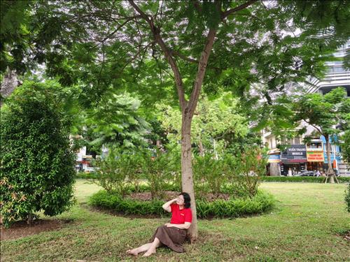 hẹn hò - Nhớ Ngưởi-Nữ -Tuổi:44 - Ly dị-Hải Phòng-Người yêu lâu dài