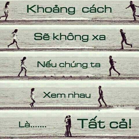 Bằng lăng tím 