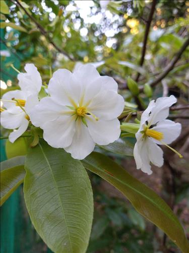 hẹn hò - Bình Yên-Lady -Age:47 - Single-Bến Tre-Friend - Best dating website, dating with vietnamese person, finding girlfriend, boyfriend.