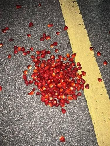 hẹn hò - Lưu-Nữ -Tuổi:32 - Ly dị-Hà Nội-Người yêu lâu dài