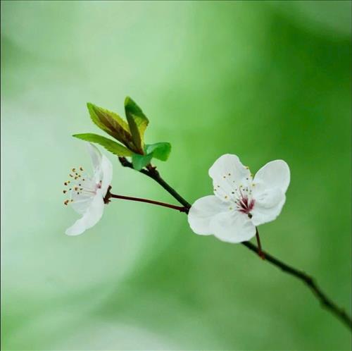 hẹn hò - Cùng nhau già đi-Lady -Age:38 - Divorce-Đà Nẵng-Lover - Best dating website, dating with vietnamese person, finding girlfriend, boyfriend.