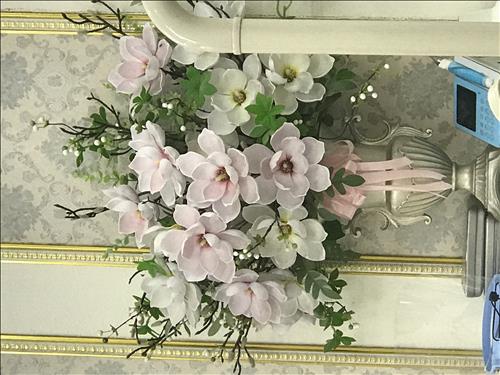 hẹn hò - Peace and love-Nữ -Tuổi:39 - Ly dị-Hoà Bình-Tìm bạn bè mới