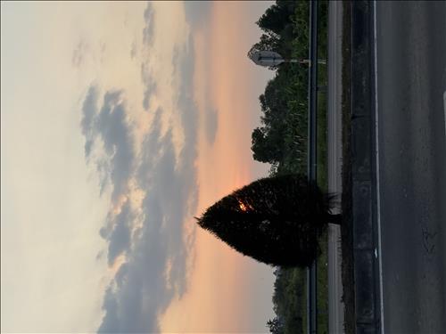 hẹn hò - Thuý Hồng-Lady -Age:32 - Single-Cần Thơ-Friend - Best dating website, dating with vietnamese person, finding girlfriend, boyfriend.