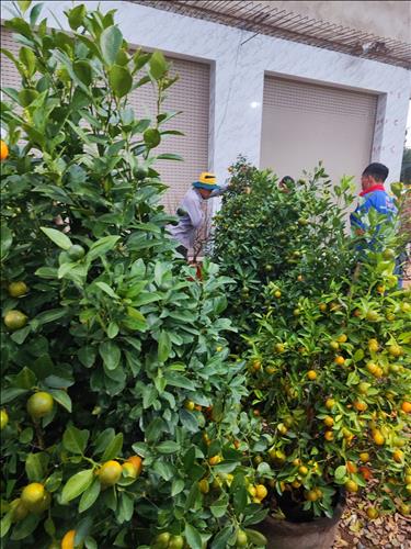 hẹn hò - Nguyễn Thùy Linh -Nữ -Tuổi:40 - Ly dị-Lâm Đồng-Người yêu lâu dài