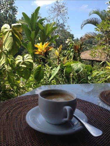 hẹn hò - Góc phố nhỏ-Nữ -Tuổi:40 - Ly dị-TP Hồ Chí Minh-Tìm bạn bè mới