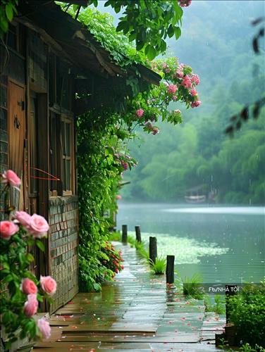 hẹn hò - An nhiên -Nữ -Tuổi:40 - Độc thân-Cần Thơ-Người yêu lâu dài