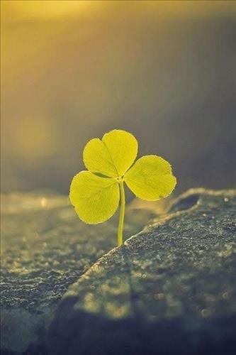 Tìm 1 nữa yêu thương 