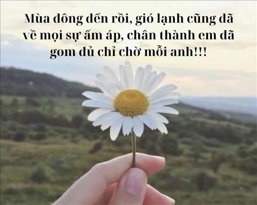 hẹn hò - Hoa Hải Đường-Nữ -Tuổi:37 - Độc thân-TP Hồ Chí Minh-Người yêu lâu dài