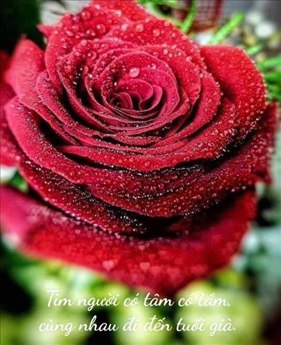 hẹn hò - Moon rose -Les -Tuổi:43 - Độc thân-TP Hồ Chí Minh-Tìm bạn tâm sự