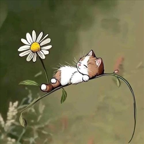 hẹn hò - Tự do tự tại-Nữ -Tuổi:39 - Độc thân-Hà Nội-Người yêu lâu dài