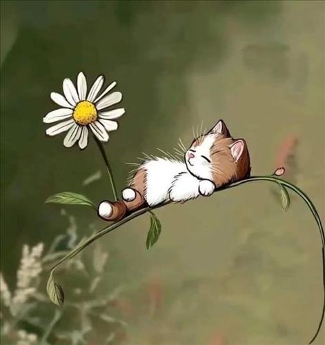 hẹn hò - Tự do tự tại-Nữ -Tuổi:39 - Độc thân-Hà Nội-Người yêu lâu dài