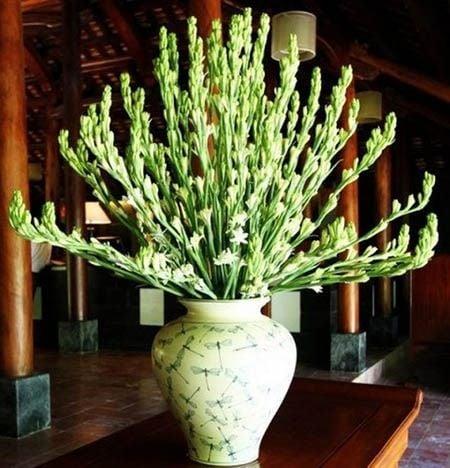 hẹn hò - Hằng -Nữ -Tuổi:45 - Độc thân-Vĩnh Phúc-Tìm bạn tâm sự