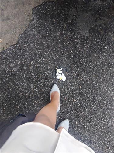 hẹn hò - Hoa hồng nhung -Nữ -Tuổi:35 - Độc thân-TP Hồ Chí Minh-Người yêu ngắn hạn