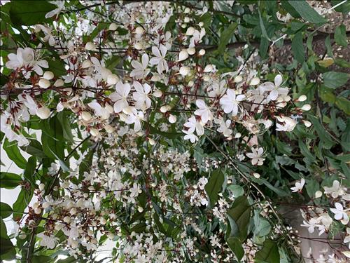 hẹn hò - Sunset-Lesbian -Age:38 - Single-TP Hồ Chí Minh-Lover - Best dating website, dating with vietnamese person, finding girlfriend, boyfriend.