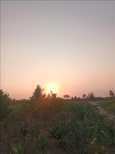 hẹn hò - Hướng Dương 🌼🌻🌼🌻-Nữ -Tuổi:32 - Độc thân-TP Hồ Chí Minh-Tìm bạn bè mới