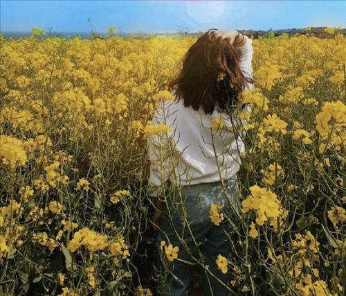 hẹn hò - Hạ xinh-Nữ -Tuổi:38 - Độc thân-Hà Nội-Tìm bạn bè mới