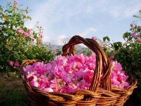 hẹn hò - Mùa Hạ-Nữ -Tuổi:35 - Ly dị-Khánh Hòa-Tìm bạn bè mới