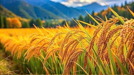 hẹn hò - Hoài niệm-Nữ -Tuổi:44 - Độc thân-TP Hồ Chí Minh-Tìm bạn tâm sự