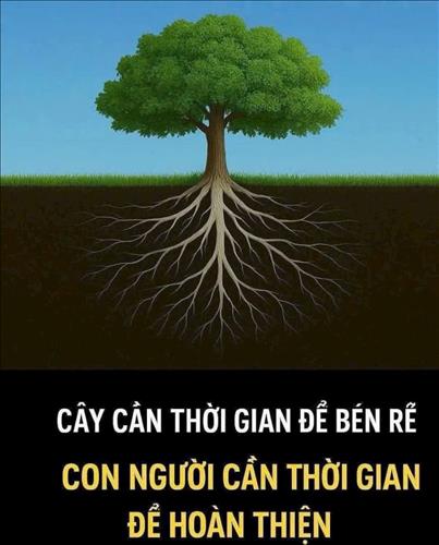hẹn hò - TT-Nữ -Tuổi:23 - Độc thân-TP Hồ Chí Minh-Người yêu lâu dài