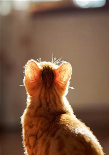 hẹn hò - 🌻-Nữ -Tuổi:30 - Độc thân-TP Hồ Chí Minh-Tìm bạn bè mới