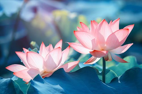 hẹn hò - Quá khứ-Nữ -Tuổi:27 - Độc thân-Hà Nội-Tìm bạn tâm sự