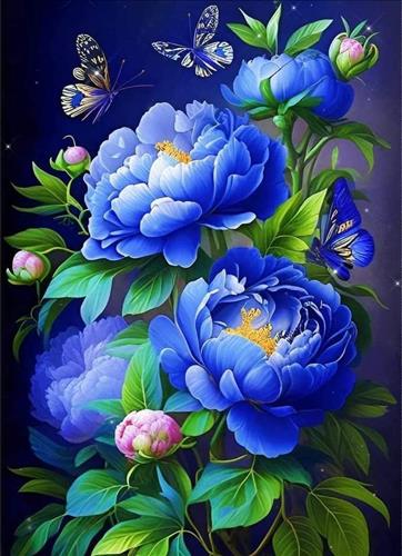Mưa