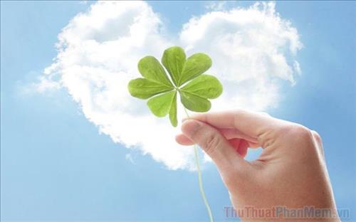 hẹn hò - Sunshine-Nữ -Tuổi:40 - Ly dị--Người yêu lâu dài