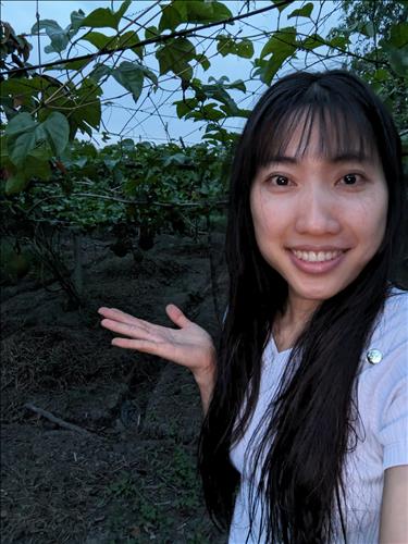 Cụ Trâu
