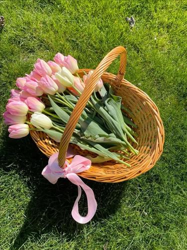hẹn hò - Thanh Vy-Nữ -Tuổi:38 - Độc thân-Đà Nẵng-Người yêu lâu dài