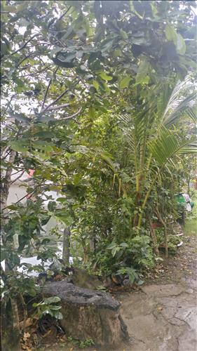 hẹn hò - Jenny -Nữ -Tuổi:25 - Độc thân-TP Hồ Chí Minh-Tìm bạn bè mới