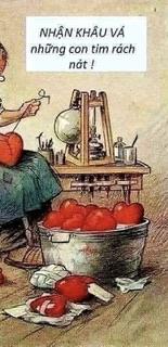 hẹn hò - Hạ Xinh-Nữ -Tuổi:38 - Độc thân-Hà Nội-Người yêu lâu dài