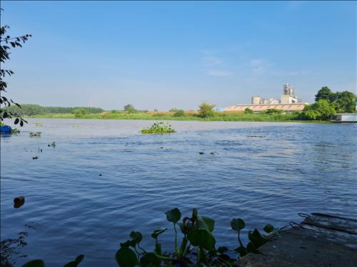 Sống thật