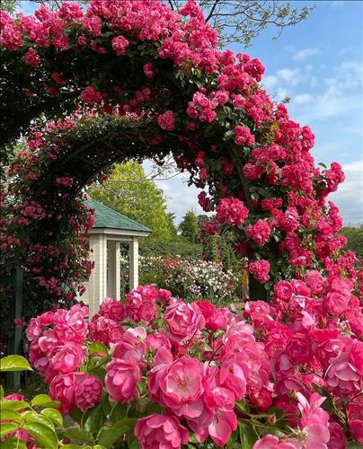 hẹn hò - jimmy -Nữ -Tuổi:40 - Ly dị-TP Hồ Chí Minh-Người yêu lâu dài