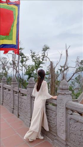 Hoa Mai