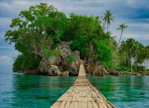 hẹn hò - Hoa mặt trời-Nữ -Tuổi:30 - Độc thân-Hà Nội-Tìm bạn bè mới