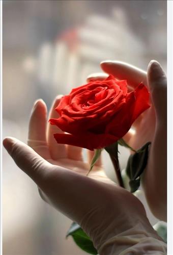 hẹn hò - Hà -Lady -Age:38 - Married-Yên Bái-Friend - Best dating website, dating with vietnamese person, finding girlfriend, boyfriend.