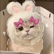 Ánh Ngọc><