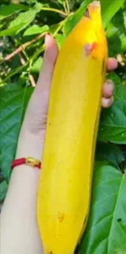 Tình em và anh