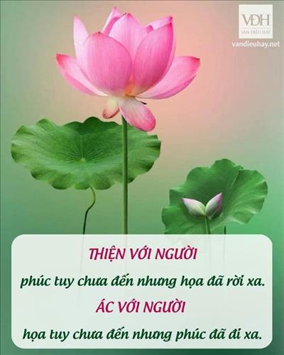 hẹn hò - Tâm An-Lady -Age:40 - Single-TP Hồ Chí Minh-Friend - Best dating website, dating with vietnamese person, finding girlfriend, boyfriend.