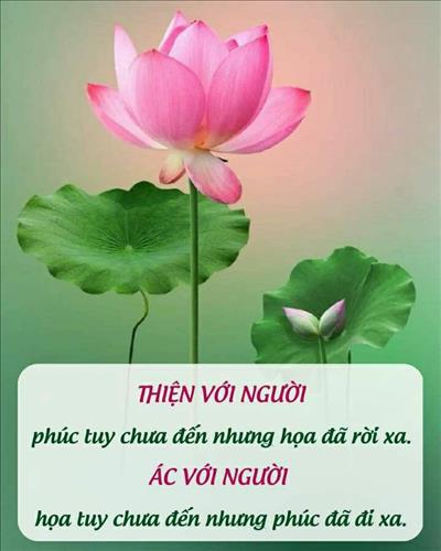 Tâm An