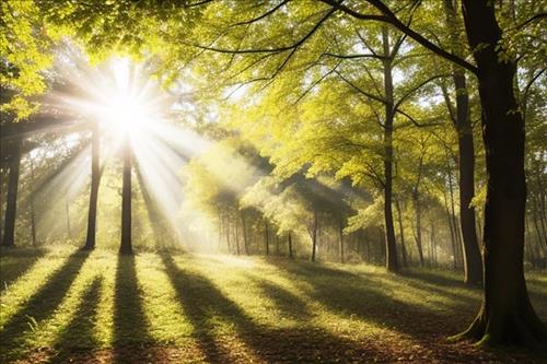 hẹn hò - Ms Ha-Lady -Age:39 - Married-Hà Nội-Friend - Best dating website, dating with vietnamese person, finding girlfriend, boyfriend.