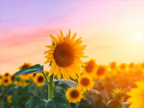 hẹn hò - Ms Ha-Lady -Age:39 - Married-Hà Nội-Friend - Best dating website, dating with vietnamese person, finding girlfriend, boyfriend.