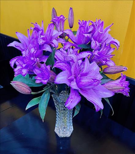 hẹn hò - Thúy Hằng -Lady -Age:33 - Single-TP Hồ Chí Minh-Short Term - Best dating website, dating with vietnamese person, finding girlfriend, boyfriend.