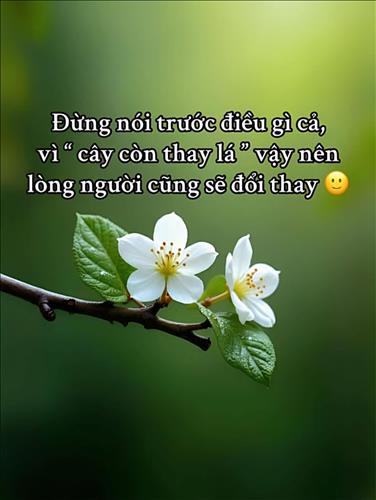 hẹn hò - Phạm Yến-Nữ -Tuổi:36 - Ly dị-TP Hồ Chí Minh-Người yêu lâu dài