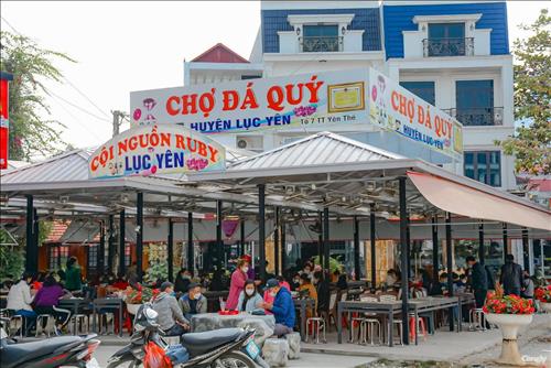Tây bắc quê tôi