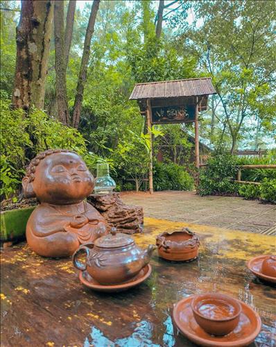 hẹn hò - Dâu Tây-Les -Tuổi:35 - Độc thân-Đà Nẵng-Người yêu lâu dài