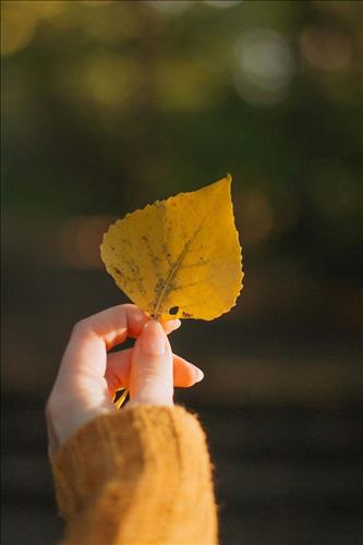 Thay đổi cách sống